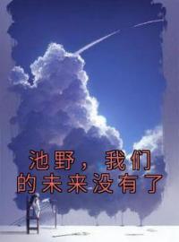 池野，我们的未来没有了全文免费试读 池野盛茵小说大结局无弹窗