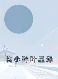 沈小辞叶星泽沈小辞叶星泽小说阅读_沈小辞叶星泽文本在线阅读