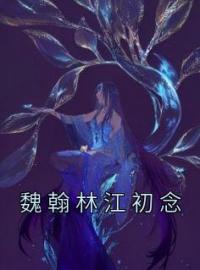 魏翰林江初念(江初念魏翰林)全文完结在线阅读完整版