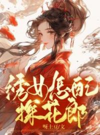 绣女怎配探花郎(阿媛宋昭)全文完结在线阅读完整版