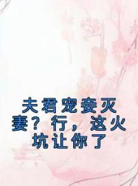 夫君宠妾灭妻？行，这火坑让你了云玉齐志宸目录_夫君宠妾灭妻？行，这火坑让你了小说阅读