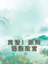 《离谱！抓间谍能致富》石伊张浩全文免费阅读