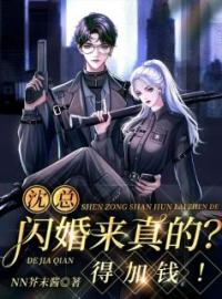 《沈总，闪婚来真的？得加钱！》安云升沈离最新章节全文免费阅读