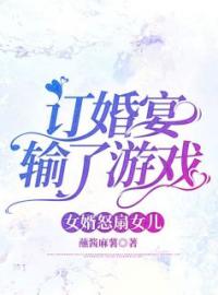 订婚宴输了游戏，女婿怒扇女儿何珺沈沁小说结局完整全文