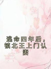 云漫漫云泽仁小说《逃命四年后，镇北王上门认妻》全文及大结局精彩试读