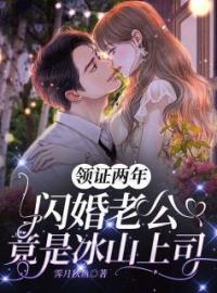 《领证两年，闪婚老公竟是冰山上司》完结版精彩阅读 沐晚凝陆北霆小说在线阅读