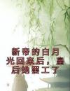 新帝的白月光回来后，皇后她罢工了