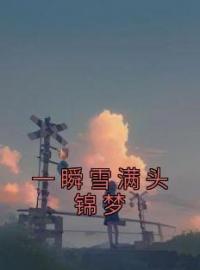 《一瞬雪满头锦梦》大结局免费阅读 《一瞬雪满头锦梦》最新章节目录