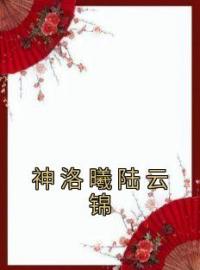 神洛曦陆云锦神洛曦陆云锦小说结局完整全文