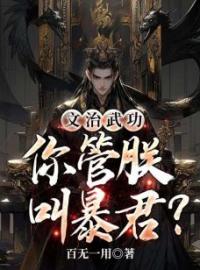 文治武功：你管朕叫暴君？全文免费试读 李承乾韩初若小说大结局无弹窗