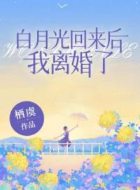 白月光回来后，我离婚了(沈念周砚)全文完结在线阅读完整版