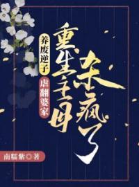 养废逆子！虐翻婆家！重生主母杀疯了温婉芸齐徊小说结局完整全文