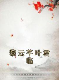 黎云芊叶君临完整全文阅读 黎云芊叶君临小说结局无删节