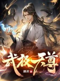 武极天尊免费试读(洛无书白衣卿小说全本资源) 无广告