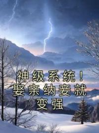 神级系统！娶亲纳妾就变强免费试读(林墨李丽质小说全本资源) 无广告