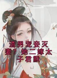 楚宁君默小说叫什么_渣男宠妾灭妻？她二嫁太子君默小说