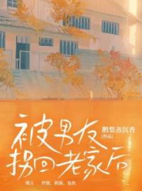 被男友拐回老家后全文在线阅读 佳佳刘峰小说全本无弹窗