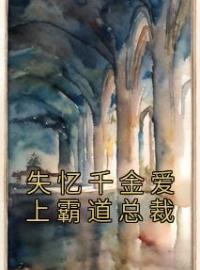 《失忆千金爱上霸道总裁》夏浅傅寒夜最新章节全文免费阅读