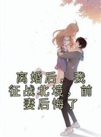 《离婚后，我征战北境，前妻后悔了》完结版精彩阅读 苏邱雨叶尘小说在线阅读