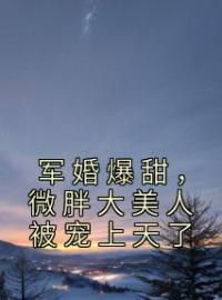 师兰霍骁小说《军婚爆甜，微胖大美人被宠上天了》全文及大结局精彩试读