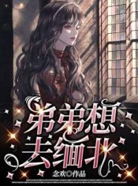 来娣王婶小说《弟弟想去缅北》全文及大结局精彩试读