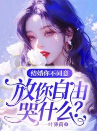 《结婚你不同意，放你自由哭什么？》最新章节 结婚你不同意，放你自由哭什么？赵依然段嘉臣全文阅读