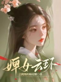 好书推荐《婢女云环》云环云盏全文在线阅读