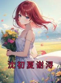 沈初夏谢浔小说叫什么_沈初夏谢浔小说