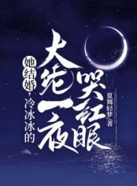 好书推荐《她结婚，冷冰冰的大佬一夜哭红眼》叶宛星陆瑾辰全文在线阅读