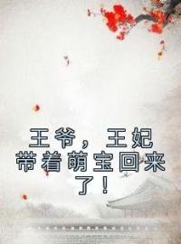 《王爷，王妃带着萌宝回来了！》免费试读 苏梨苏月柔小说在线阅读