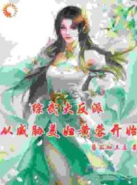 《综武大反派：从威胁美妇黄蓉开始》王阳黄蓉全文阅读