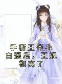 手撕王爷小白莲后，王妃和离了司若南谢渊小说结局完整全文