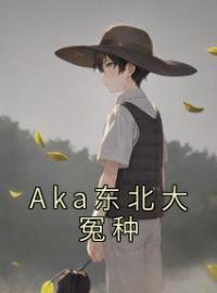 Aka东北大冤种李岱傅呦呦王晴小说在线阅读 Aka东北大冤种最新章节