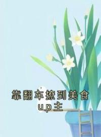 《靠翻车撩到美食up主》林声声许言川沈真最新章节全文免费阅读