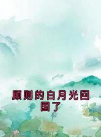 《顾则的白月光回国了》免费试读 宋糖顾则林霜小说在线阅读