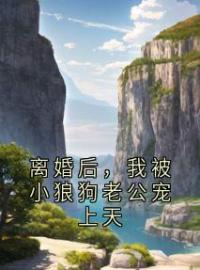 《离婚后，我被小狼狗老公宠上天》完结版精彩阅读 叶澜陆时尧小说在线阅读