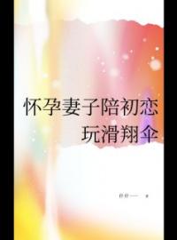 《怀孕妻子陪初恋玩滑翔伞》免费试读 江辰沈艺瑶宋景川小说在线阅读