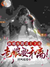 《新婚夜踢渣王下床，老娘要和离！》宋阮穆修泽全文阅读