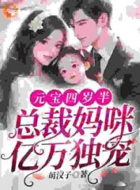 小说《元宝四岁半，总裁妈咪亿万独宠》元宝陆婉全文免费试读