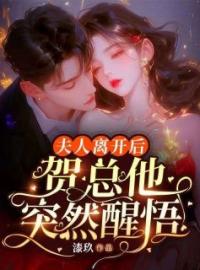 陆星眠贺燕枥小说叫什么_夫人离开后，贺总他突然醒悟小说