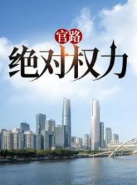 官路：绝对权力(徐灿赵玉婷)全文完结在线阅读完整版