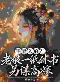 《平妻入府？老娘一纸休书另谋高嫁》大结局免费阅读 《平妻入府？老娘一纸休书另谋高嫁》最新章节目录