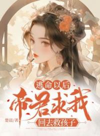 司临云栖小说《逃命以后，帝君求我回去救孩子》全文及大结局精彩试读