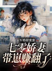 《军婚甜蜜蜜，七零娇妻带崽赚翻了》林宛纾秦衍全文免费阅读