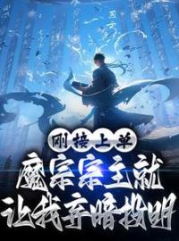 《刚接上单，魔宗宗主就让我弃暗投明》林墨江寒衣最新章节全文免费阅读