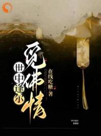 世中逢尔觅佛情(玄尘雾灵)全文完结在线阅读完整版