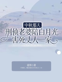 中秋那天，刑侦老婆陪白月光害死丈人一家傅言陆晚晚宋凛目录_中秋那天，刑侦老婆陪白月光害死丈人一家小说阅读