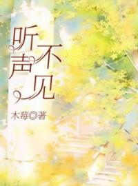 听声不见(张进野林听)全文完结在线阅读完整版