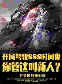 开局SSS时间鬼，管这叫新人？完整小说目录在线阅读 (王权王峰) 大结局无弹窗