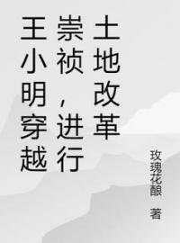 《王小明穿越崇祯，进行土地改革》大结局免费阅读 《王小明穿越崇祯，进行土地改革》最新章节目录